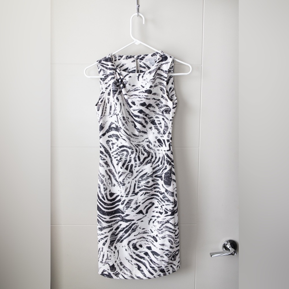 H&M Black and White Zebra Print Dress